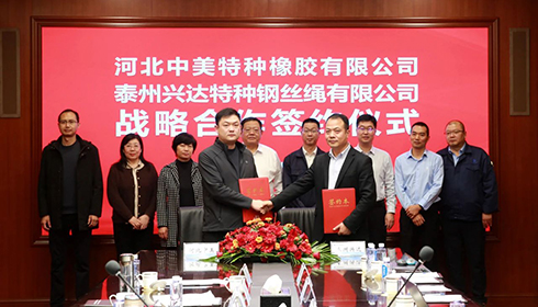 河北衡水市政企代表團蒞臨興達考察，興達&中美達成戰(zhàn)略合作！